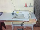 Sunstar Single Needle Sewing Machine