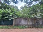 Super Bare Land for Sale in Boralasgamuwa