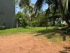Super Land for Sale 1588 - Kotiyagoda