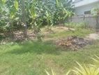 Super Land for Sale Boralasgamuwa