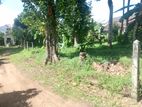 Super land for sale Boralasgamuwa