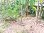 Super land for sale Boralasgamuwa