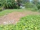 Super land for sale Boralasgamuwa