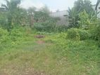 Super Land for Sale Boralasgamuwa