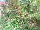 Super Land for Sale Boralasgamuwa