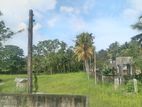 Super Land for Sale Boralasgamuwa