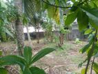 Super Land for Sale Boralasgamuwa