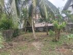 Super Land for Sale Boralasgamuwa