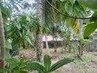 Super Land for Sale Boralasgamuwa