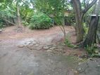 Super Land for Sale Boralasgamuwa