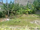 Super land for sale Boralasgamuwa