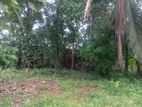 Super land for sale Boralasgamuwa