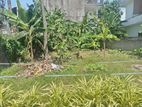 Super Land for Sale Boralasgamuwa