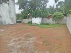 Super Land for Sale Boralasgamuwa