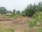 Super Land for Sale Boralasgamuwa