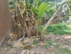 Super land for sale Boralasgamuwa