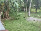 Super Land for Sale Boralasgamuwa