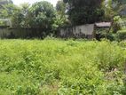 Super Land for Sale Boralasgamuwa
