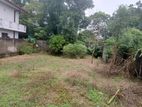 Super Land for Sale Boralasgamuwa