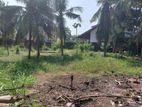 Super land for sale Boralasgamuwa