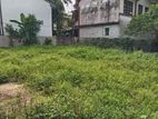 Super Land for Sale Boralasgamuwa