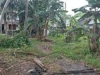 Super Land for Sale Boralasgamuwa