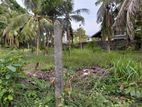 Super Land for Sale Boralasgamuwa