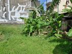Super Land for Sale Boralasgamuwa