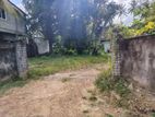 Super Land for Sale Boralasgamuwa