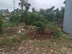 Super Land for Sale Boralasgamuwa