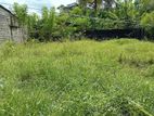 Super land for sale Boralasgamuwa town