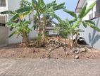 Super Land for Sale Boralesgamuwa