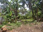Super Land for Sale Boralesgamuwa