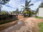 Super Land for Sale Boralesgamuwa