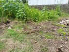 Super land for sale Boralesgamuwa