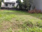 Super Land for Sale Borelesgamuwa