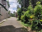 Super Land for Sale Borelesgamuwa