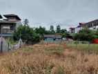 Super Land for Sale Borelesgamuwa