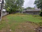 Super Land for Sale Borelesgamuwa