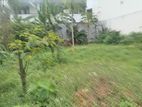 Super Land for Sale Dehiwala