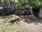 Super Land for Sale Dehiwala
