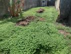 Super Land for Sale Dehiwala