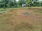 Super Land for Sale-Horana