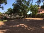 super land for sale in Athullkotte Ds3099