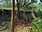 Super Land for Sale in Battaramulla Koswatta Ds30172