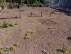 super land for sale in colombo 9