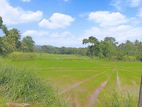 Super Land for Sale in Dabadeniya P3