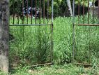 Super Land for Sale in Dehiwala