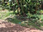 Super land for sale in Dewlpitiya