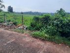 Super Land for Sale in Kalutha Bandaragama Road